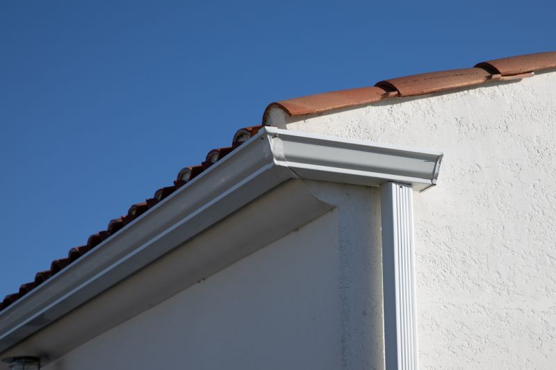 Roof Eaves Repair