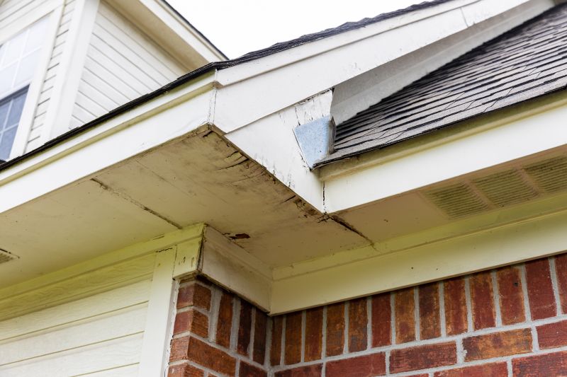 Roof Eaves Repair